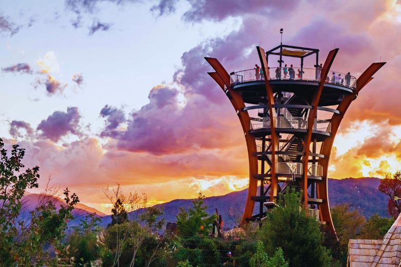 Top 8 Outdoor Adventures in Gatlinburg for Spring Visitors